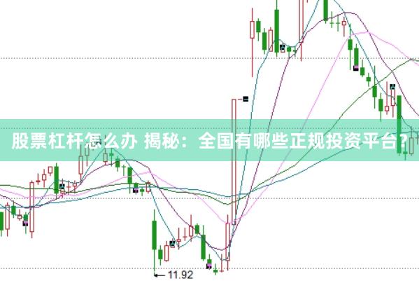 股票杠杆怎么办 揭秘：全国有哪些正规投资平台？