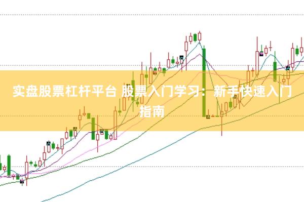 实盘股票杠杆平台 股票入门学习：新手快速入门指南