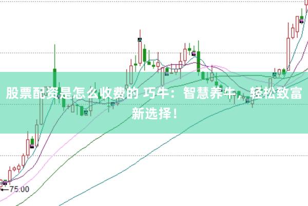 股票配资是怎么收费的 巧牛：智慧养牛，轻松致富新选择！