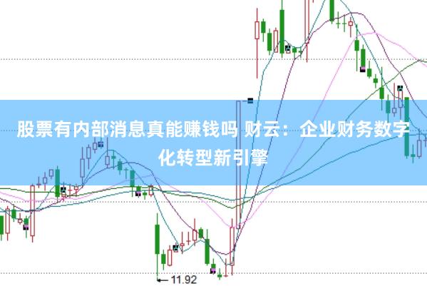 股票有内部消息真能赚钱吗 财云：企业财务数字化转型新引擎