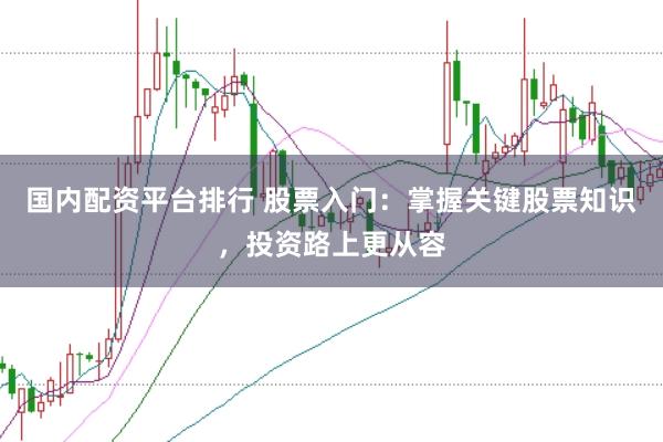 国内配资平台排行 股票入门：掌握关键股票知识，投资路上更从容