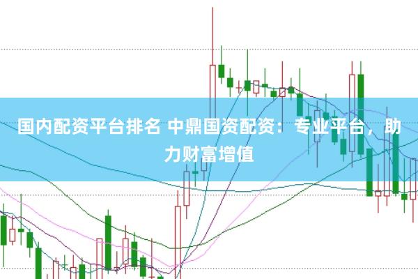 国内配资平台排名 中鼎国资配资：专业平台，助力财富增值