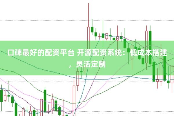口碑最好的配资平台 开源配资系统：低成本搭建，灵活定制