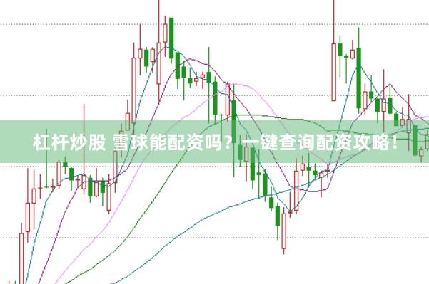 杠杆炒股 雪球能配资吗？一键查询配资攻略！