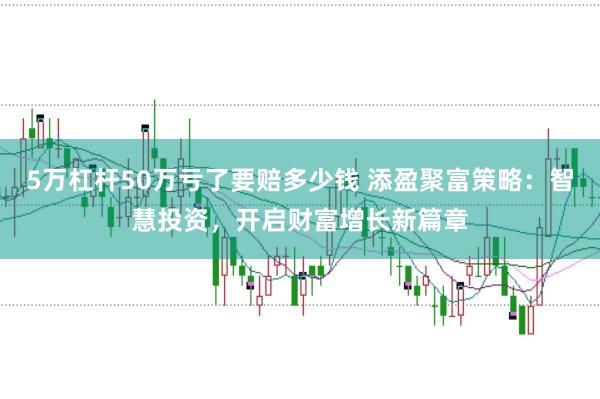 5万杠杆50万亏了要赔多少钱 添盈聚富策略：智慧投资，开启财富增长新篇章