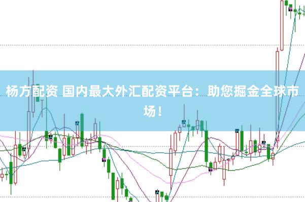 杨方配资 国内最大外汇配资平台：助您掘金全球市场！