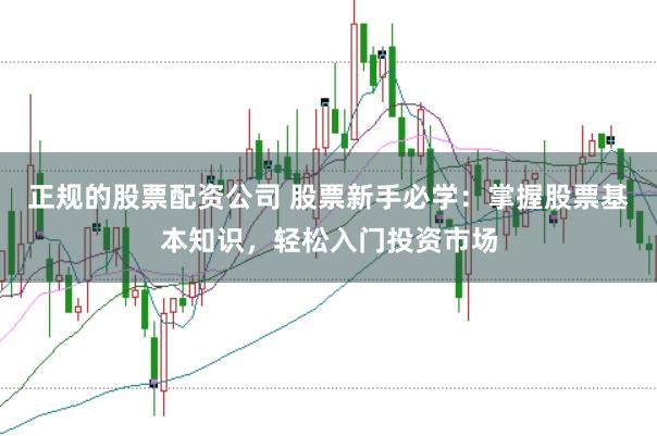 正规的股票配资公司 股票新手必学：掌握股票基本知识，轻松入门投资市场