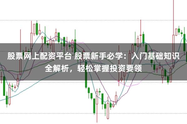 股票网上配资平台 股票新手必学：入门基础知识全解析，轻松掌握投资要领