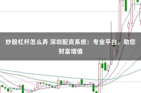 炒股杠杆怎么弄 深圳配资系统：专业平台，助您财富增值