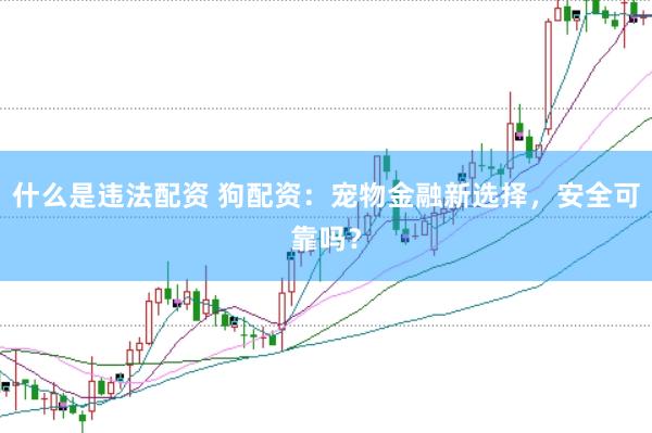 什么是违法配资 狗配资：宠物金融新选择，安全可靠吗？