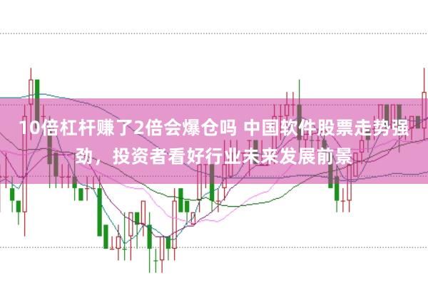 10倍杠杆赚了2倍会爆仓吗 中国软件股票走势强劲，投资者看好行业未来发展前景