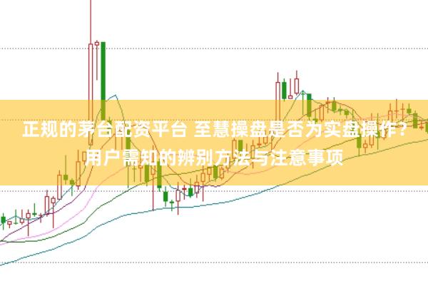 正规的茅台配资平台 至慧操盘是否为实盘操作？用户需知的辨别方法与注意事项