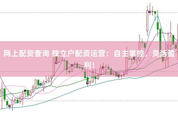 网上配资查询 独立户配资运营：自主掌控，灵活盈利！