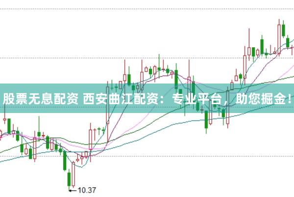 股票无息配资 西安曲江配资：专业平台，助您掘金！