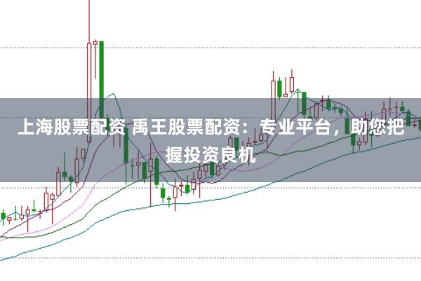 上海股票配资 禹王股票配资：专业平台，助您把握投资良机