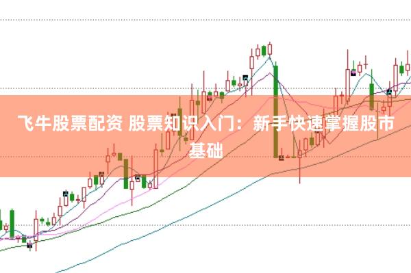 飞牛股票配资 股票知识入门:新手快速掌握股市基础