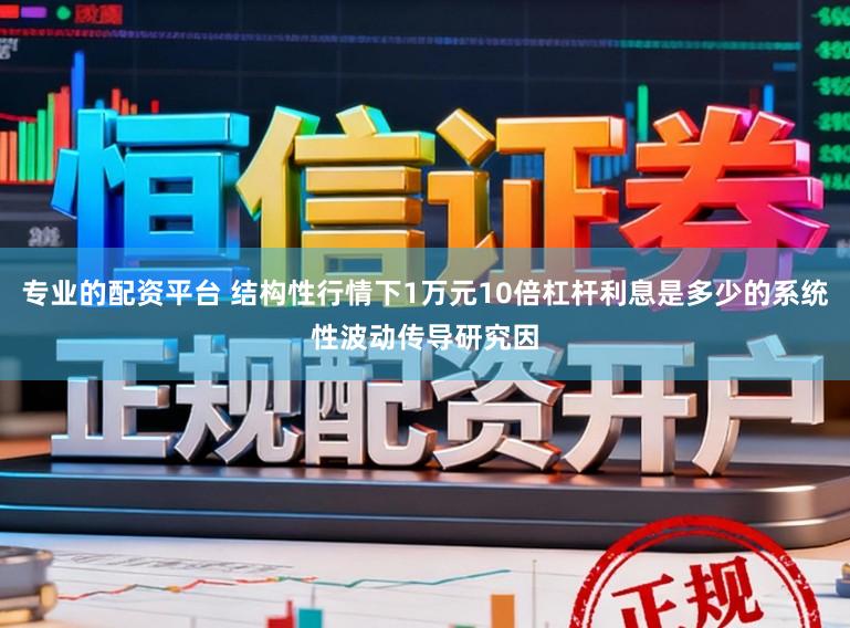 专业的配资平台 结构性行情下1万元10倍杠杆利息是多少的系统性波动传导研究因
