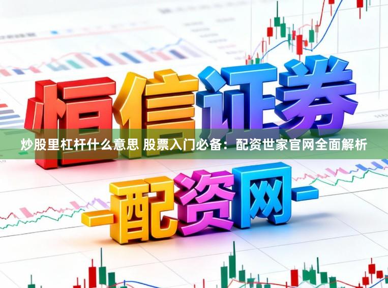 炒股里杠杆什么意思 股票入门必备：配资世家官网全面解析